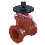RESILIENT WEDGE NRS GATE VALVE 