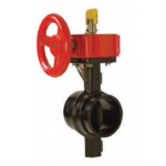 GROOVED BUTTERFLY VALVE W/ SWITCH CLOSED