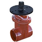 Grooved Resilient Wedge Gate Valve