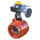 Grooved End Butterfly Valve