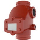 Viking Grooved Check Valve