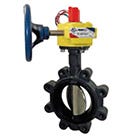 Lug Butterfly Valve with Switch